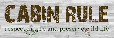 Cabin Rule White Modern Wood Framed Art Print with Double Matting by Lewis, Sheldon