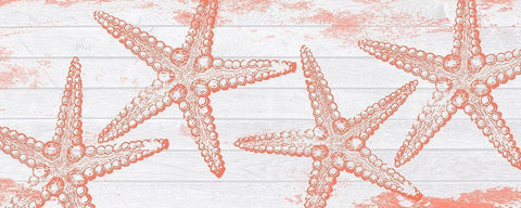 Ocean Star White Modern Wood Framed Art Print with Double Matting by Lewis, Sheldon