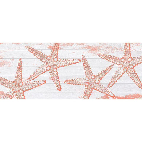 Ocean Star White Modern Wood Framed Art Print by Lewis, Sheldon