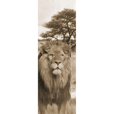 Jungle King 2 Black Modern Wood Framed Art Print with Double Matting by Lewis, Sheldon