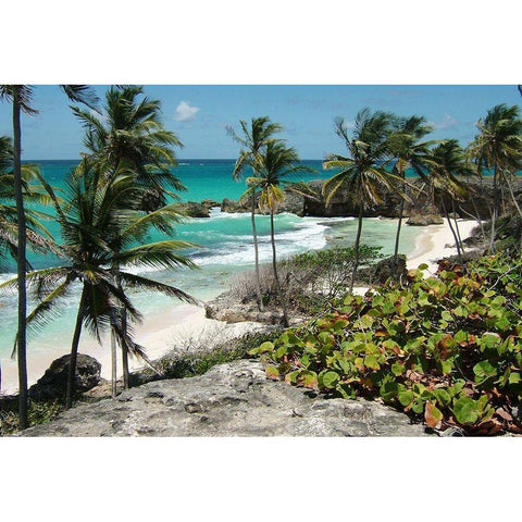 Tropical Beauty Gold Ornate Wood Framed Art Print with Double Matting by Lewis, Sheldon