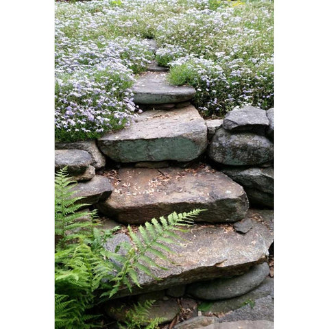 The Path White Modern Wood Framed Art Print by Lewis, Sheldon