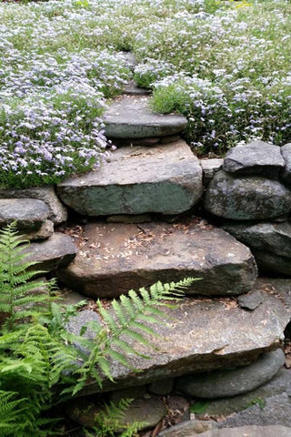 The Path White Modern Wood Framed Art Print with Double Matting by Lewis, Sheldon