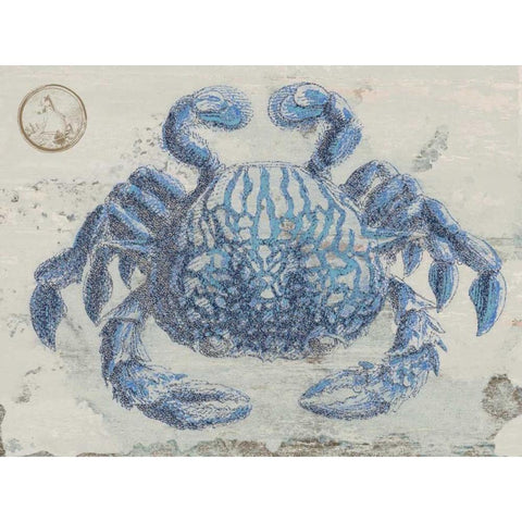 Mysterious Crustacean White Modern Wood Framed Art Print by Lewis, Sheldon