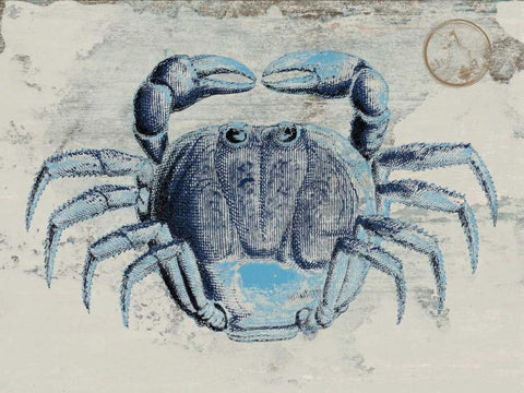 Mysterious Crustacean 2 Black Ornate Wood Framed Art Print with Double Matting by Lewis, Sheldon