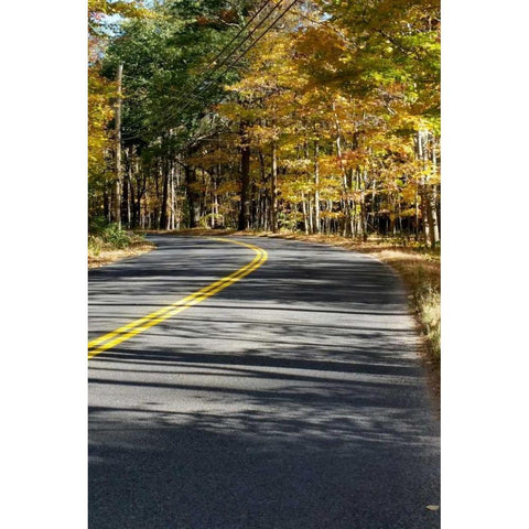 Around The Bend Gold Ornate Wood Framed Art Print with Double Matting by Lewis, Sheldon