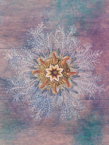 Ocean Blend Black Ornate Wood Framed Art Print with Double Matting by Lewis, Sheldon