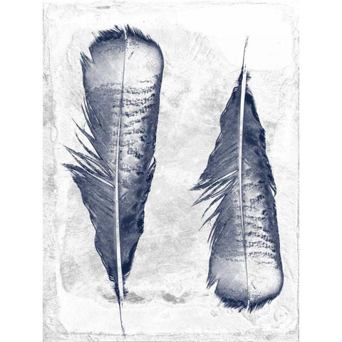 Feather Duo White Modern Wood Framed Art Print by Lewis, Sheldon