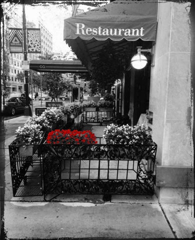 Red Restaurant Flora Pop White Modern Wood Framed Art Print with Double Matting by Lewis, Sheldon