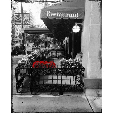 Red Restaurant Flora Pop White Modern Wood Framed Art Print by Lewis, Sheldon