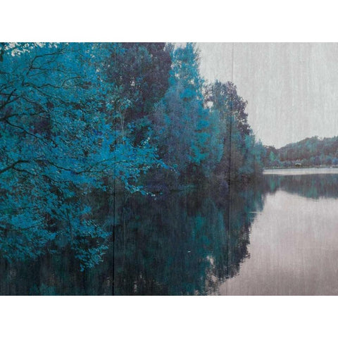 Blue Bayou Gold Ornate Wood Framed Art Print with Double Matting by Lewis, Sheldon