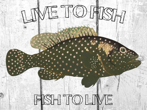 Live To Fish White Modern Wood Framed Art Print with Double Matting by Lewis, Sheldon