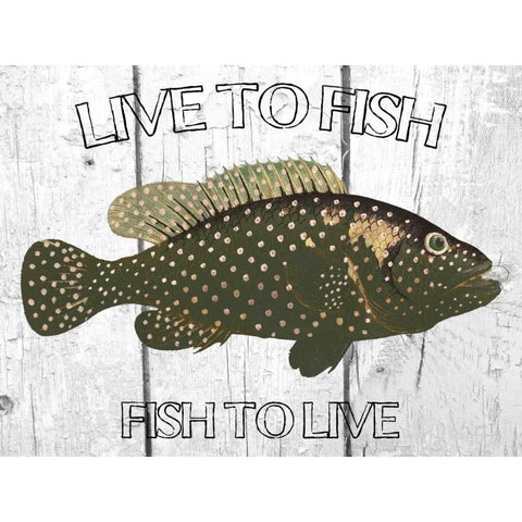 Live To Fish Black Modern Wood Framed Art Print by Lewis, Sheldon
