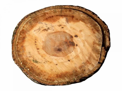 Earthy Rings Of Ages White Modern Wood Framed Art Print with Double Matting by Lewis, Sheldon