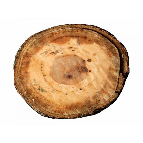 Earthy Rings Of Ages Black Modern Wood Framed Art Print with Double Matting by Lewis, Sheldon