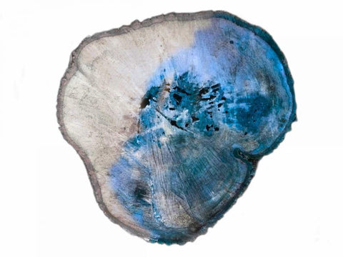 Blue Rings Of Saturn Black Ornate Wood Framed Art Print with Double Matting by Lewis, Sheldon