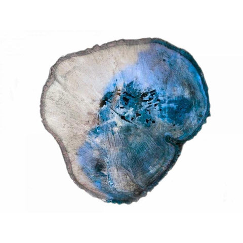 Blue Rings Of Saturn Gold Ornate Wood Framed Art Print with Double Matting by Lewis, Sheldon