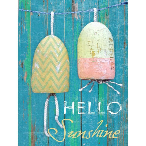 Hello Sunshine Black Modern Wood Framed Art Print with Double Matting by Lewis, Sheldon