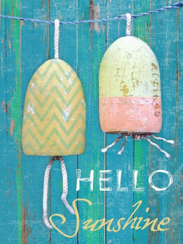 Hello Sunshine White Modern Wood Framed Art Print with Double Matting by Lewis, Sheldon
