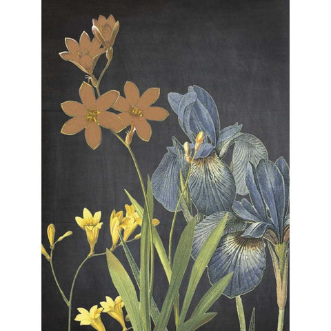Meadow Bloom Gold Ornate Wood Framed Art Print with Double Matting by Lewis, Sheldon