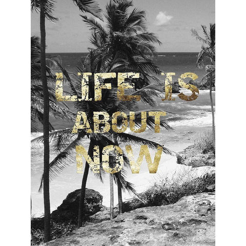 Life is About Now Black Modern Wood Framed Art Print with Double Matting by Lewis, Sheldon
