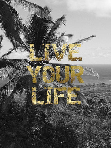 Live Your Life White Modern Wood Framed Art Print with Double Matting by Lewis, Sheldon