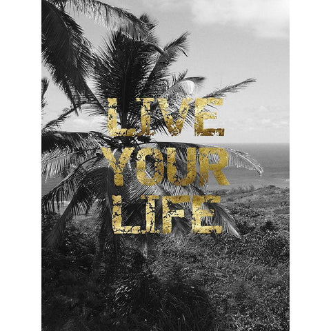 Live Your Life Black Modern Wood Framed Art Print by Lewis, Sheldon