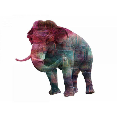 Elephant Memory In Color Black Modern Wood Framed Art Print with Double Matting by Lewis, Sheldon