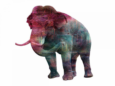 Elephant Memory In Color White Modern Wood Framed Art Print with Double Matting by Lewis, Sheldon