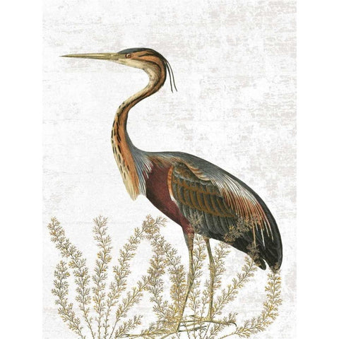 Bird In The Field White Modern Wood Framed Art Print by Lewis, Sheldon