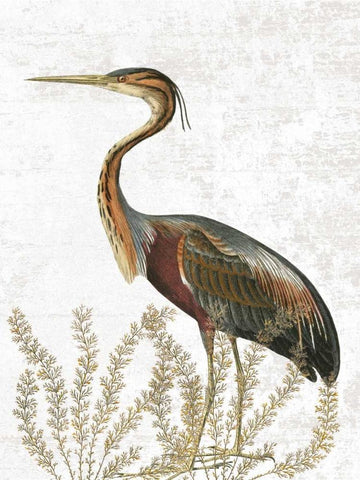 Bird In The Field Black Ornate Wood Framed Art Print with Double Matting by Lewis, Sheldon