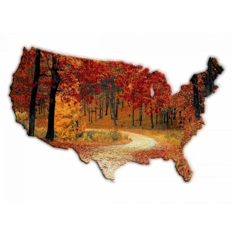 Fall Time USA White Modern Wood Framed Art Print by Lewis, Sheldon