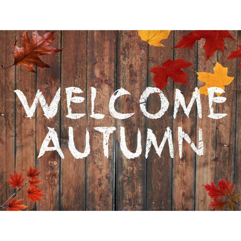 Welcome Autumn Black Modern Wood Framed Art Print by Lewis, Sheldon