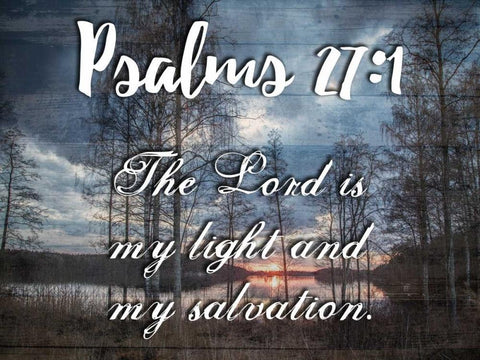 My Light And My Salvation White Modern Wood Framed Art Print with Double Matting by Lewis, Sheldon