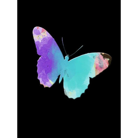 Watercolor Butterfly White Modern Wood Framed Art Print by Lewis, Sheldon