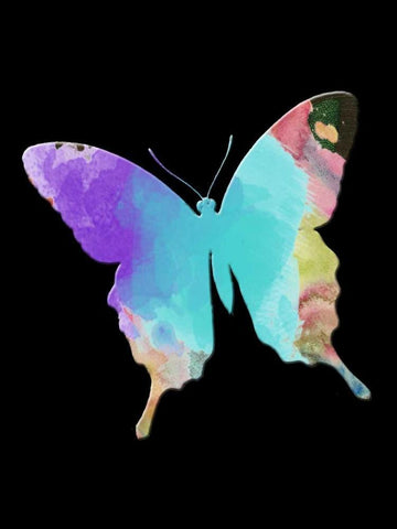 Butterfly Watercolor White Modern Wood Framed Art Print with Double Matting by Lewis, Sheldon