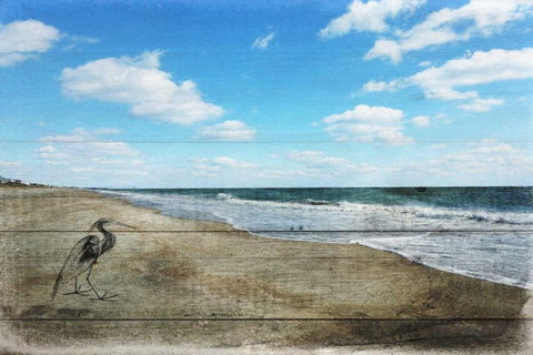 Tranquil Walk By The Ocean White Modern Wood Framed Art Print with Double Matting by Lewis, Sheldon
