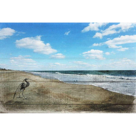 Tranquil Walk By The Ocean Black Modern Wood Framed Art Print by Lewis, Sheldon