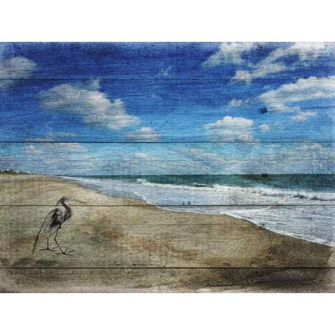 Coastal 1 Black Modern Wood Framed Art Print with Double Matting by Lewis, Sheldon