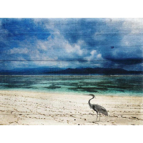 Coastal 2 Black Modern Wood Framed Art Print with Double Matting by Lewis, Sheldon