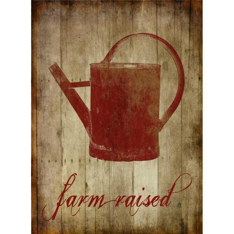 Farm Raised White Modern Wood Framed Art Print by Lewis, Sheldon