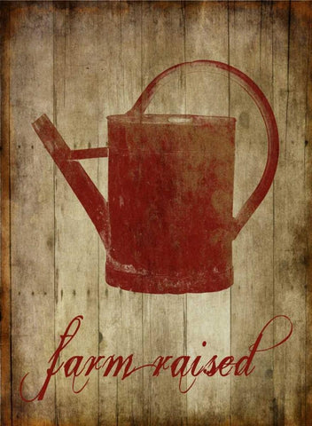 Farm Raised White Modern Wood Framed Art Print with Double Matting by Lewis, Sheldon