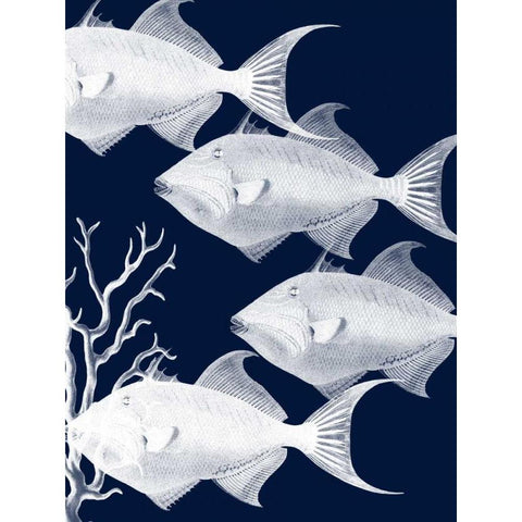 Coastal Orchestra White Modern Wood Framed Art Print by Lewis, Sheldon