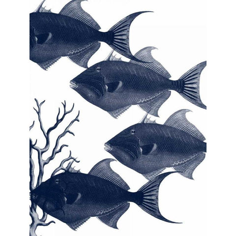 Coastal Orchestra Black Modern Wood Framed Art Print by Lewis, Sheldon