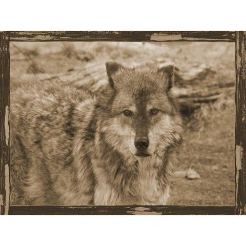 Wild Heart Gold Ornate Wood Framed Art Print with Double Matting by Lewis, Sheldon