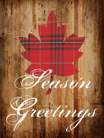 Seasons Greetings White Modern Wood Framed Art Print with Double Matting by Lewis, Sheldon