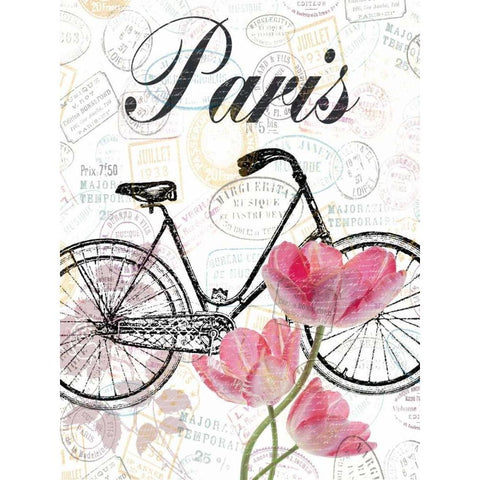 All Things Paris White Modern Wood Framed Art Print by Lewis, Sheldon