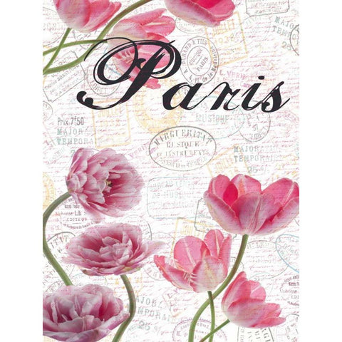 All Things Paris 5 White Modern Wood Framed Art Print by Lewis, Sheldon