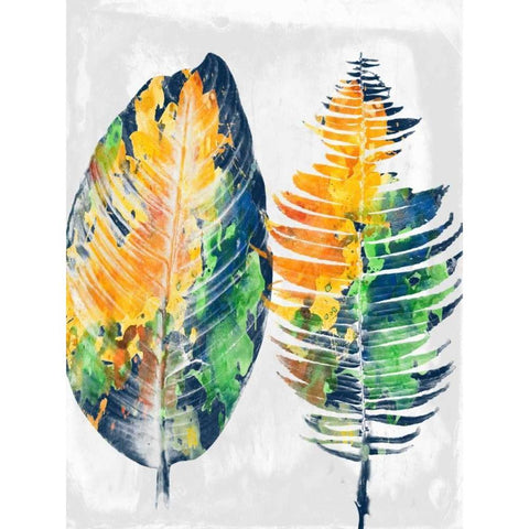 Tropical 2 Black Modern Wood Framed Art Print with Double Matting by Lewis, Sheldon