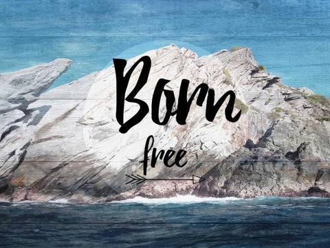 BoRn Free White Modern Wood Framed Art Print with Double Matting by Lewis, Sheldon